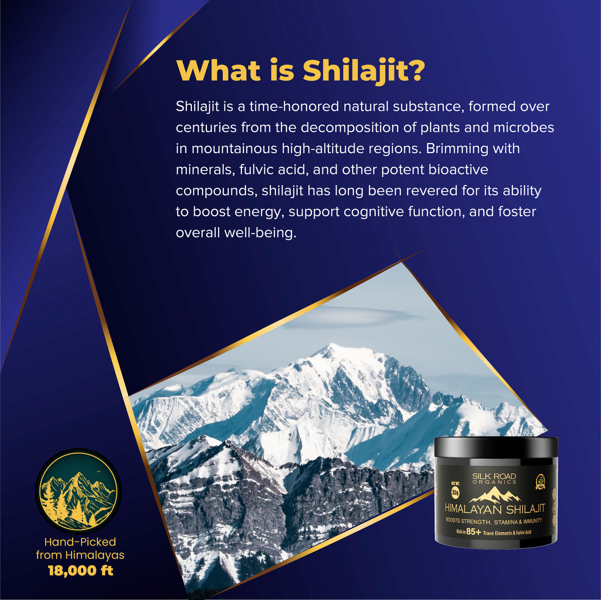 🌿 Pure Himalayan Shilajit Resin